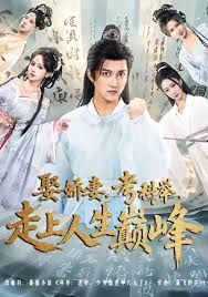 娶娇妻，考科举，走上人生巅峰 全集完结(大结局)