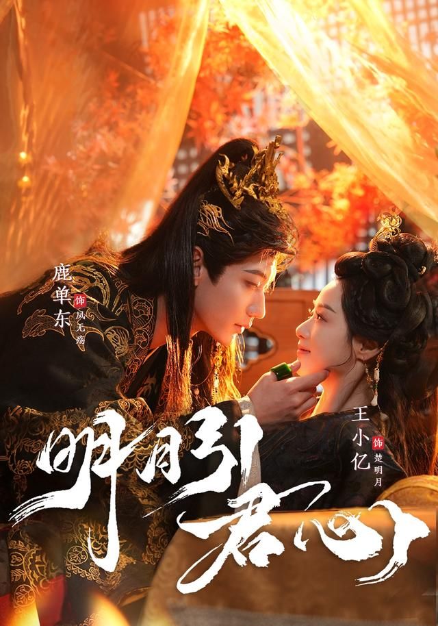 明月引君心 全集完结(大结局)