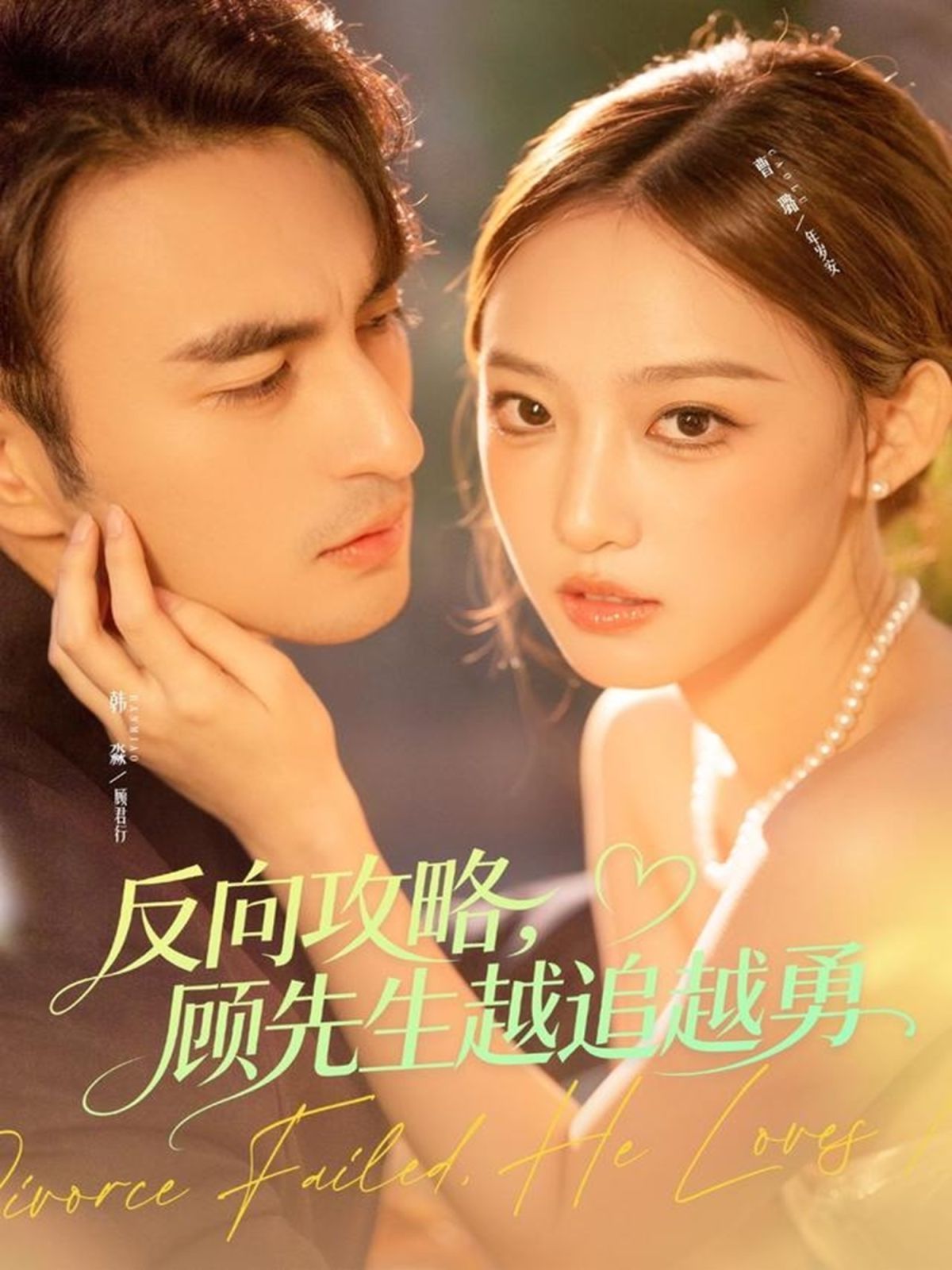 反向攻略，顾先生越追越勇 全集完结(大结局)