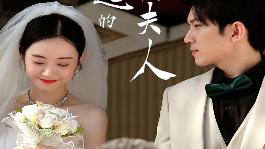 了不起的萧夫人 第1-20集