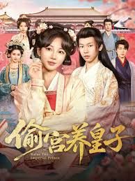 偷宫养皇子 全集完结(大结局)