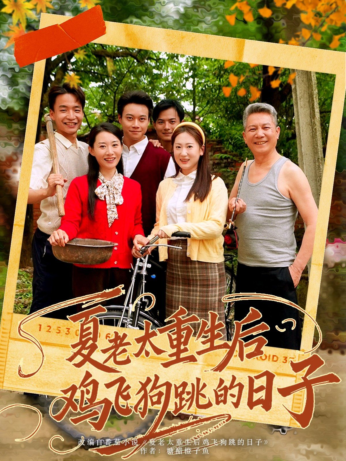 夏老太重生后鸡飞狗跳的日子 全集完结(大结局)