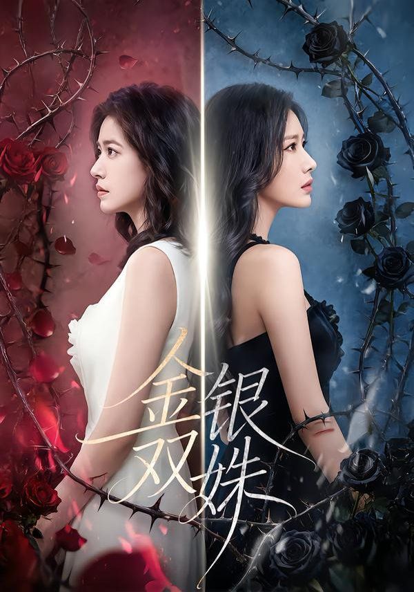金银双姝 全集完结(大结局)