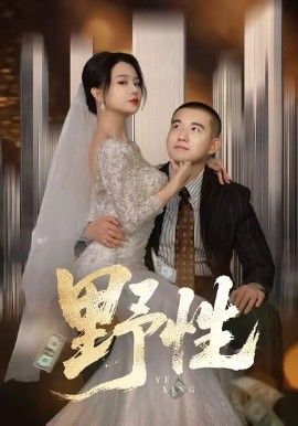 野性，分手后，顶头上司要嫁我 全集完结(大结局)