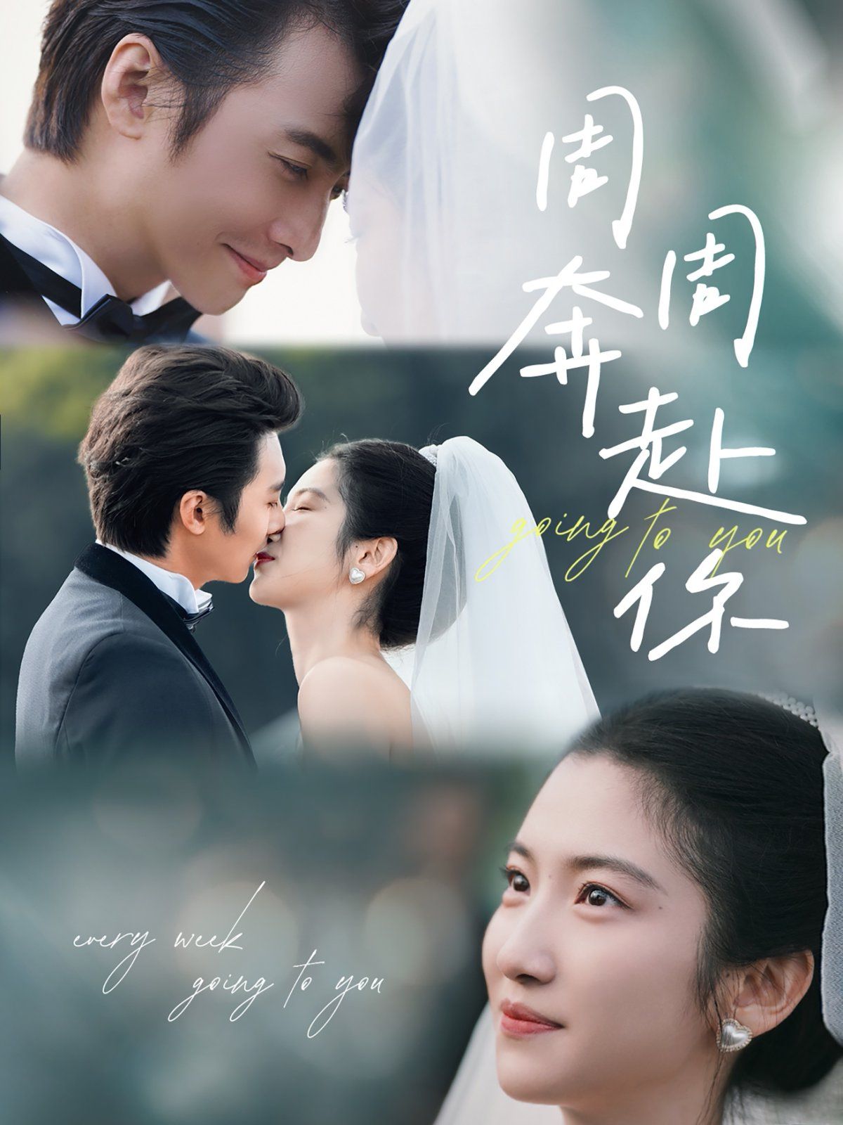 周周奔赴你 全集完结(大结局)