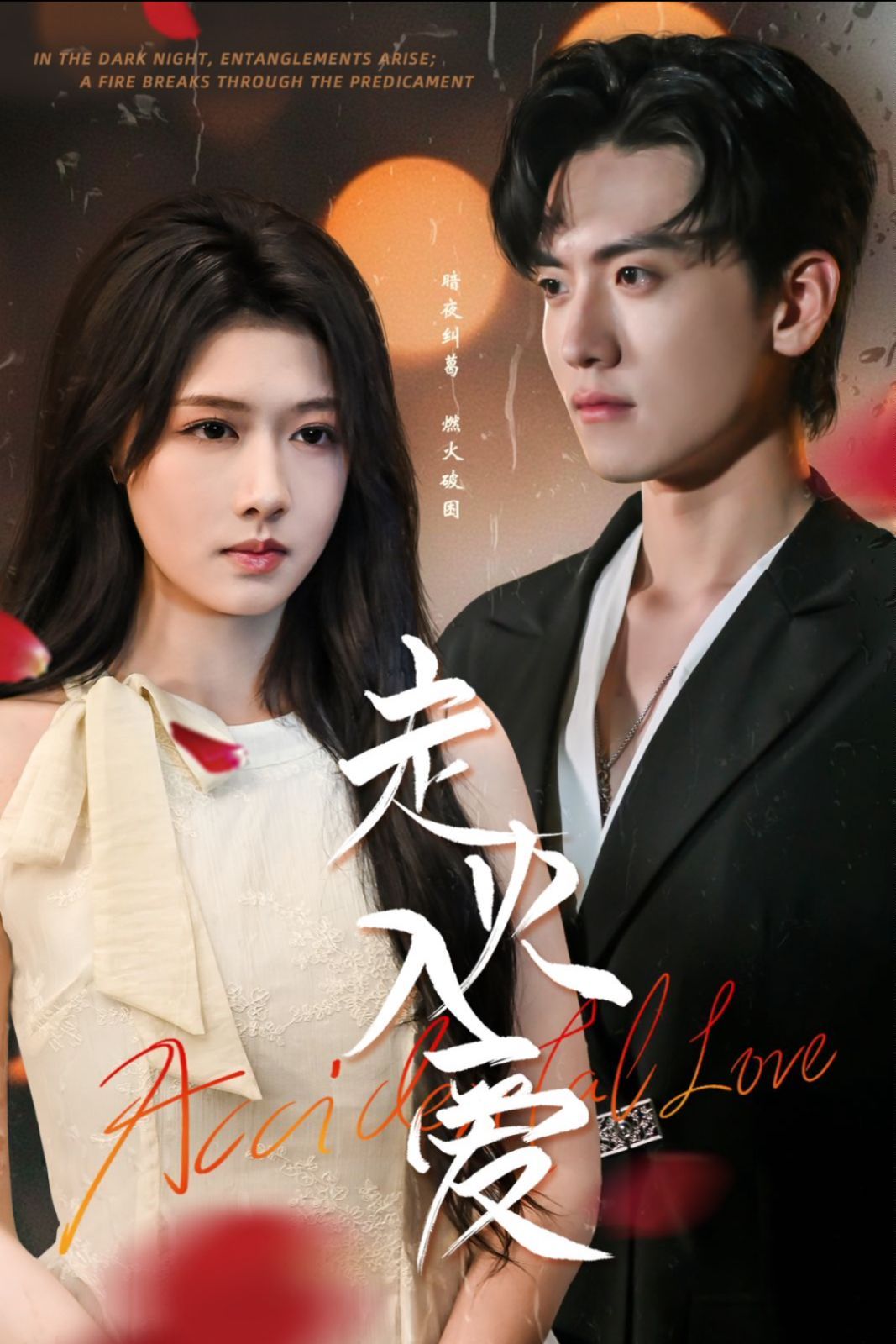 走火入爱 全集完结(大结局)