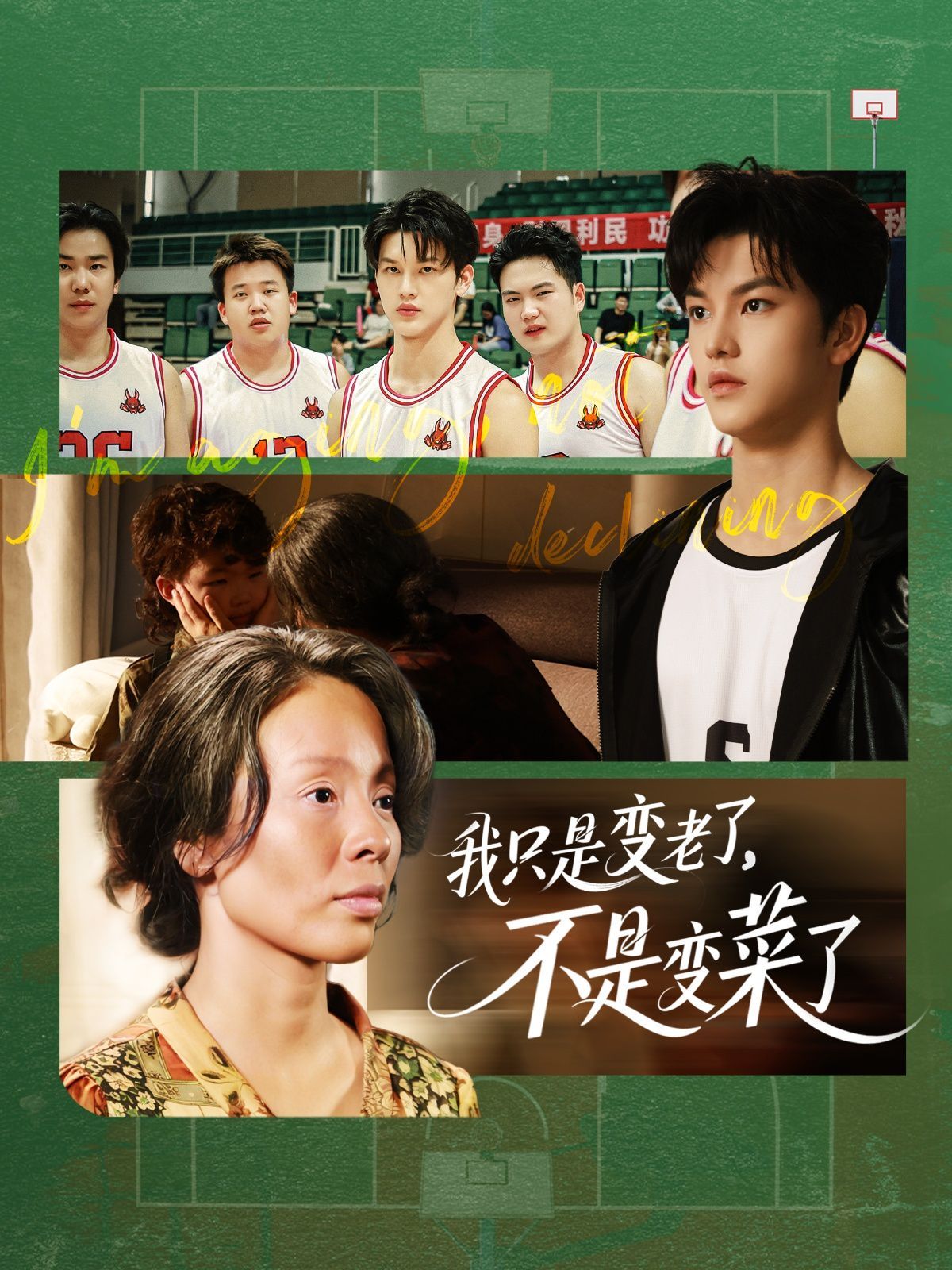 我只是变老了不是变菜了 全集完结(大结局)