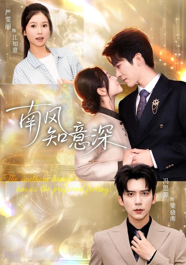 南风知意深 全集完结(大结局)