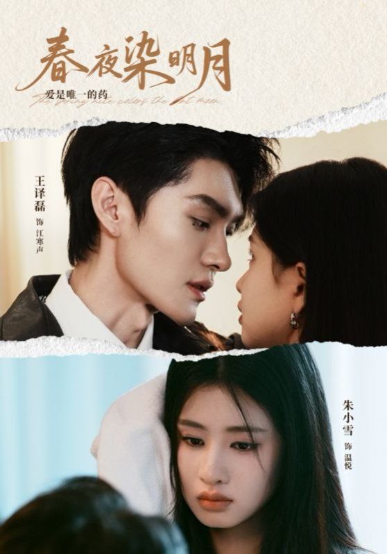 春夜染明月 第22集