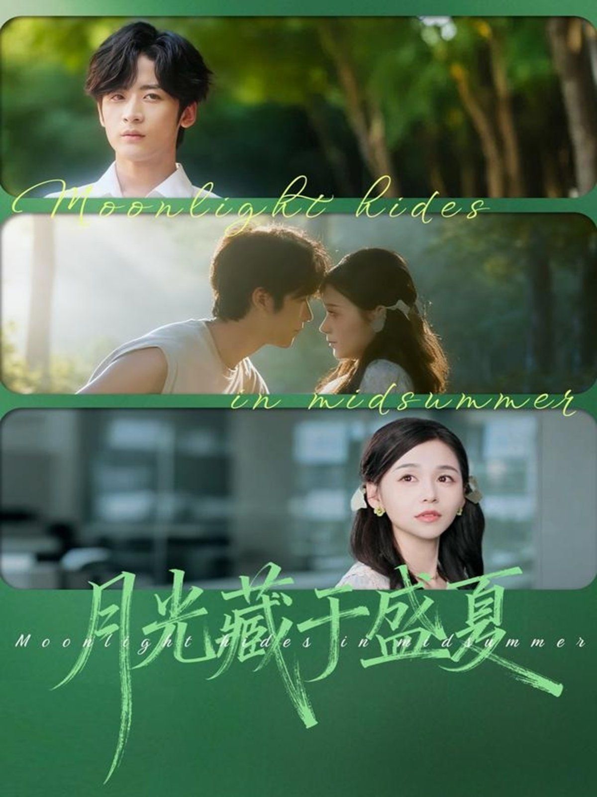 月光藏于盛夏 全集完结(大结局)