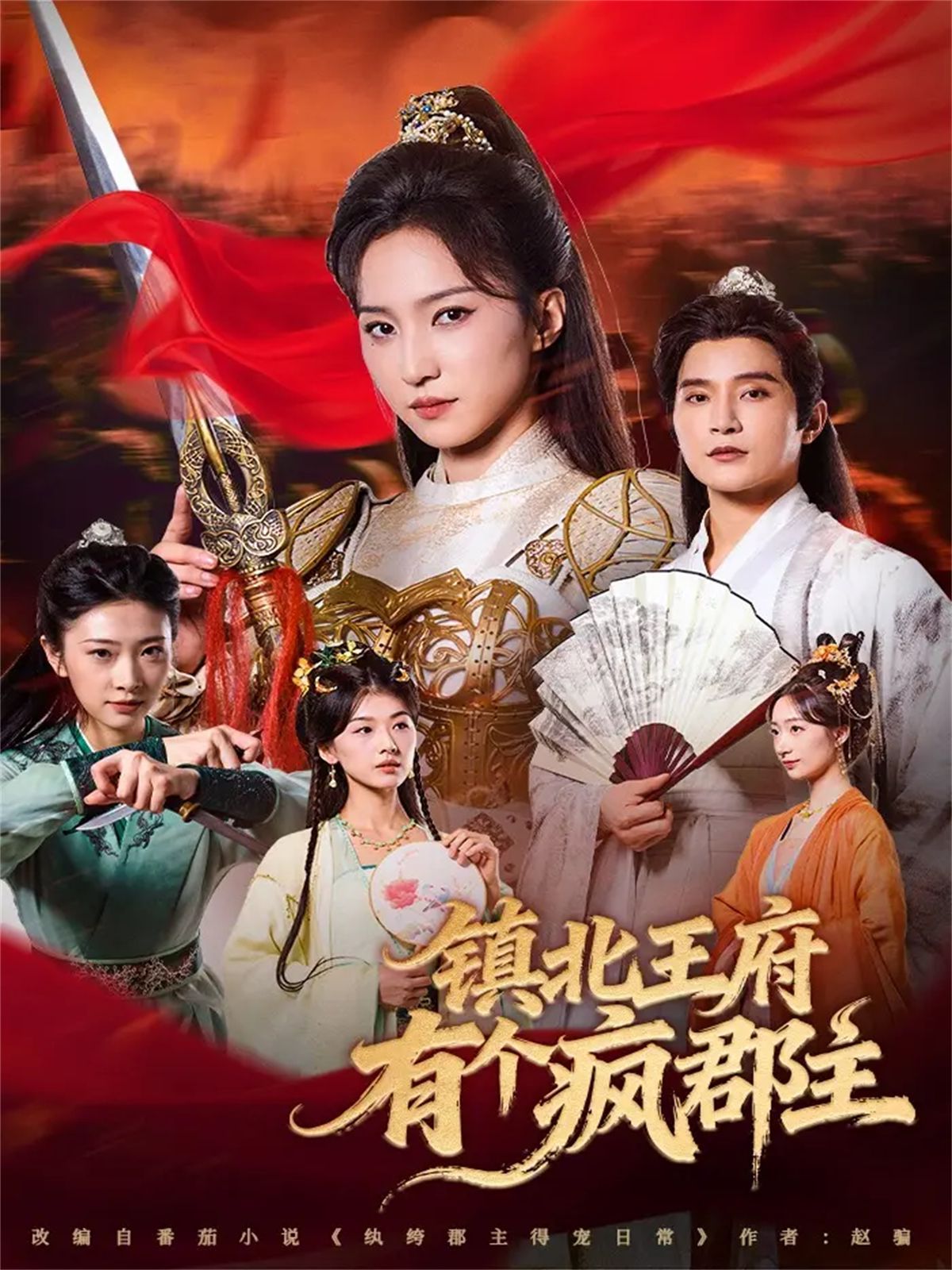 镇北王府有个疯郡主 全集完结(大结局)