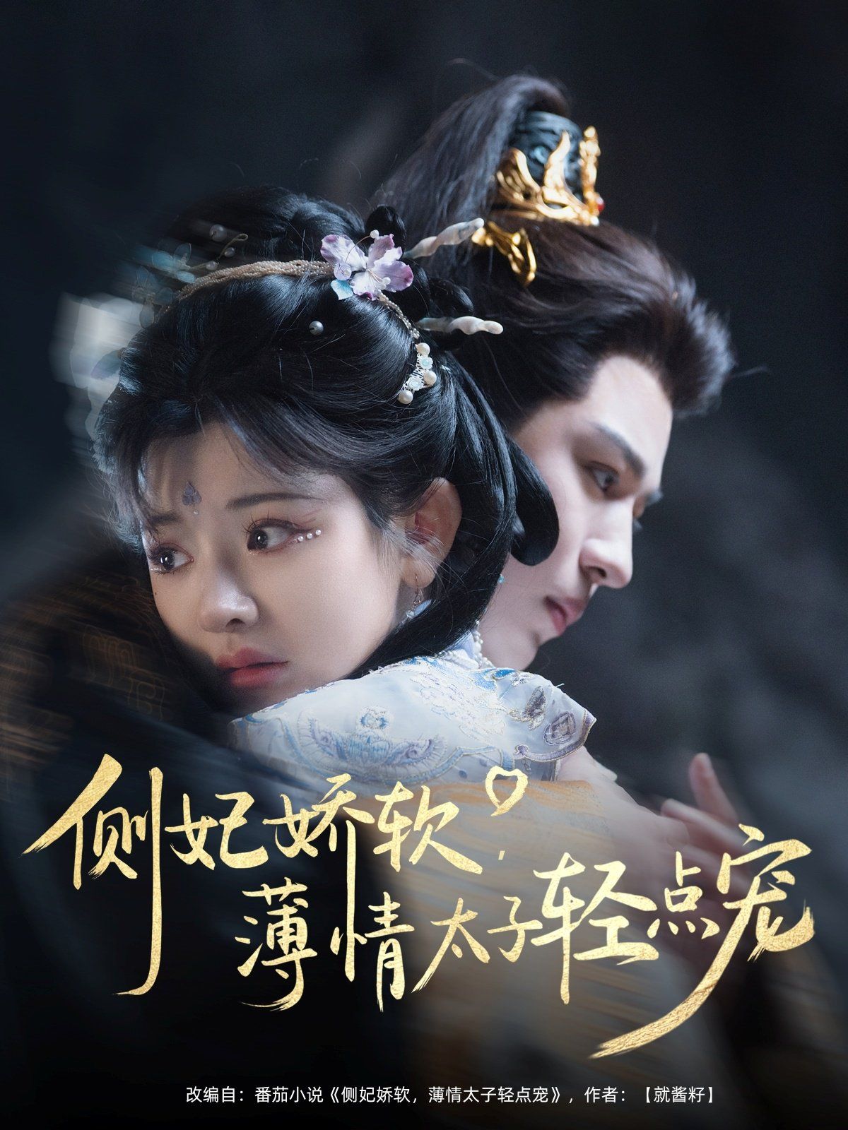 侧妃娇软薄情太子轻点宠 全集完结(大结局)