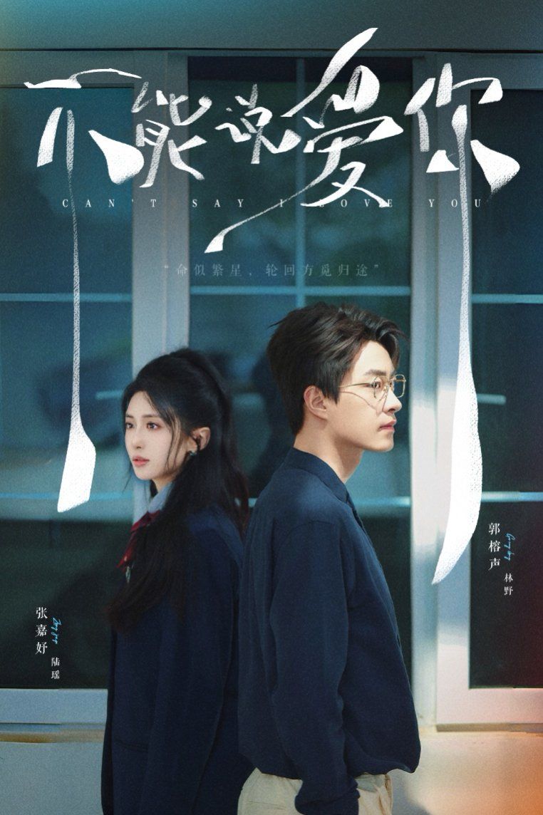 不能说爱你 全集完结(大结局)