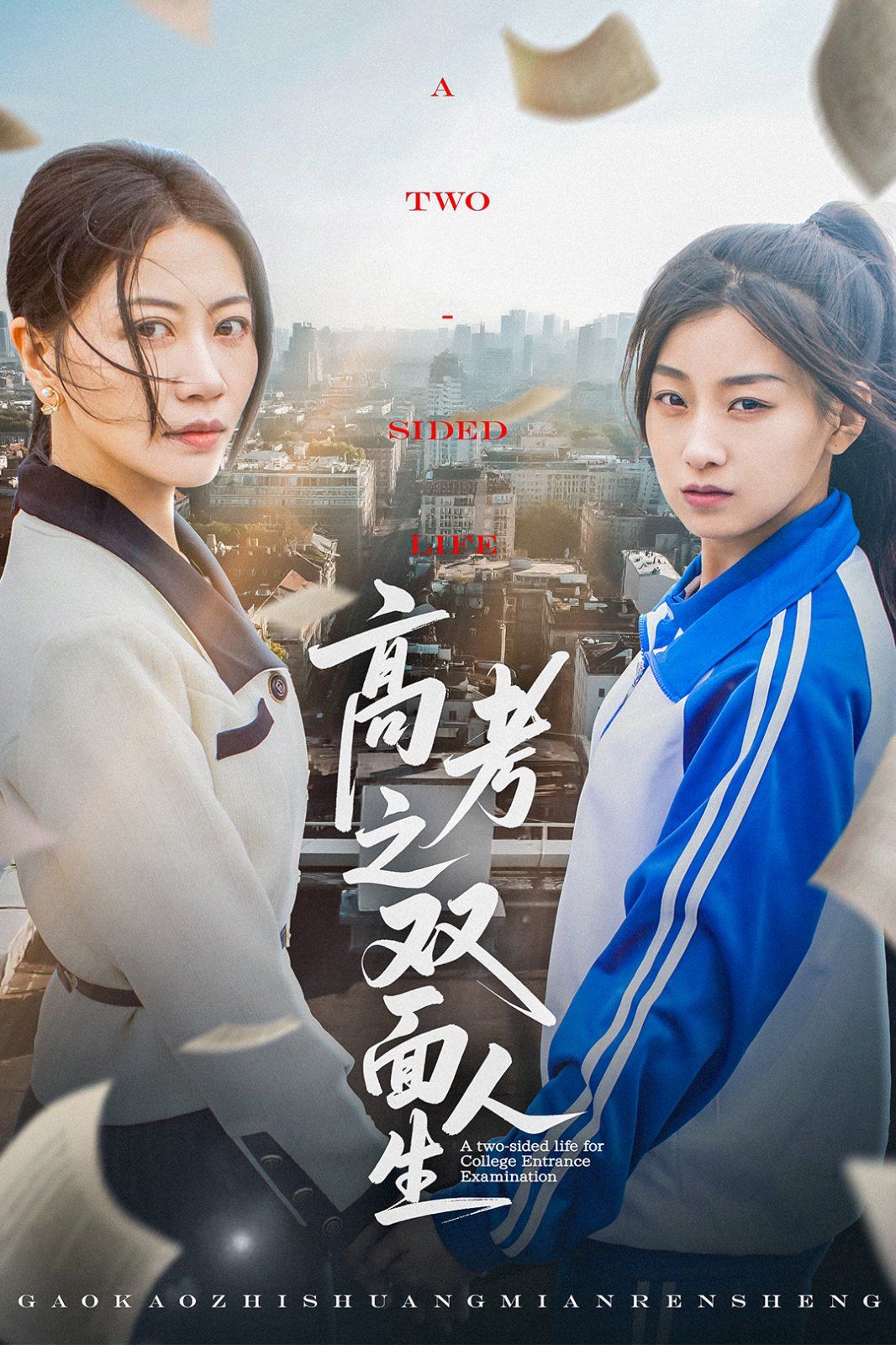 高考之双面人生 全集完结(大结局)