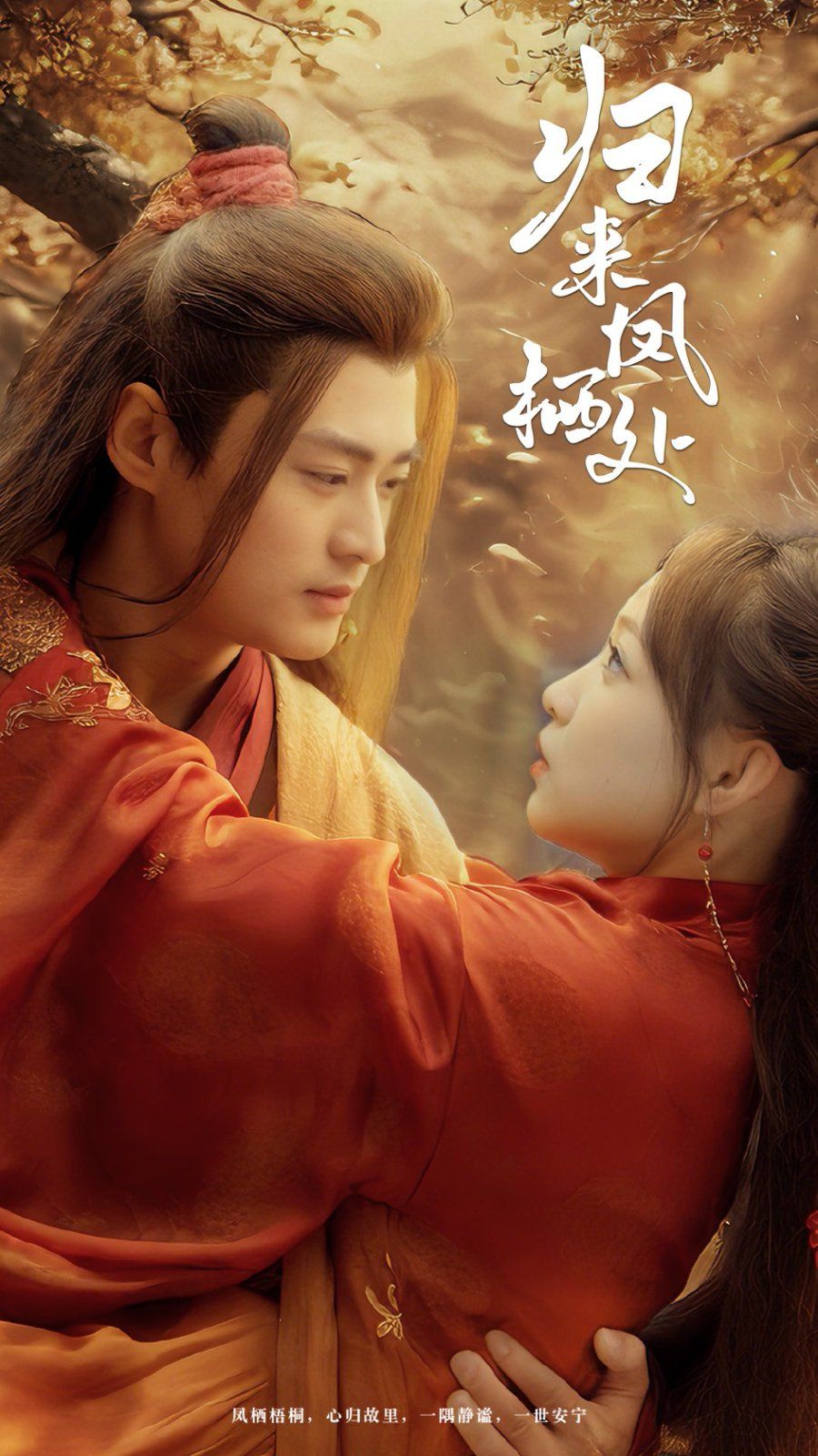 归来凤栖处 第1-20集