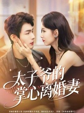 太子爷的掌心离婚妻 全集完结(大结局)