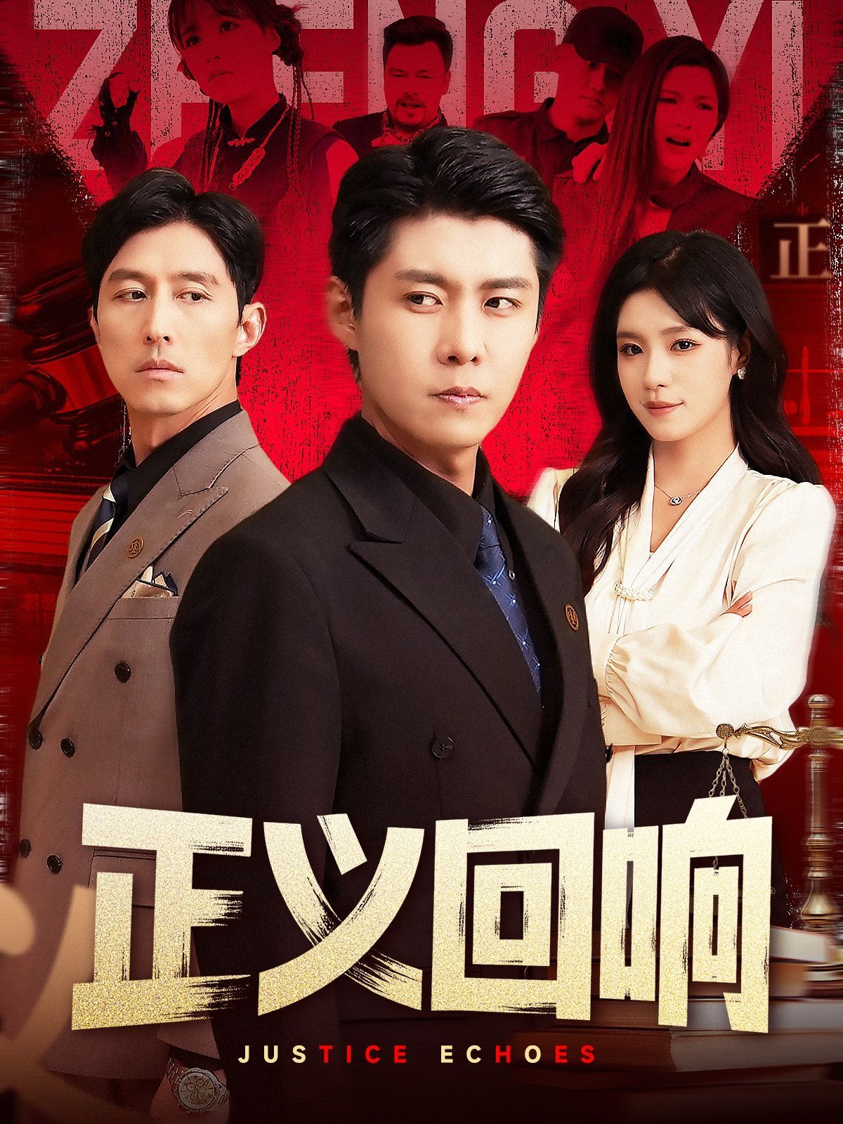 正义回响 全集完结(大结局)