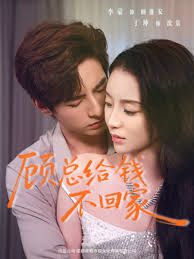 顾总给钱不回家 全集完结(大结局)