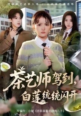 茶艺师驾到白莲统统闪开 全集完结(大结局)