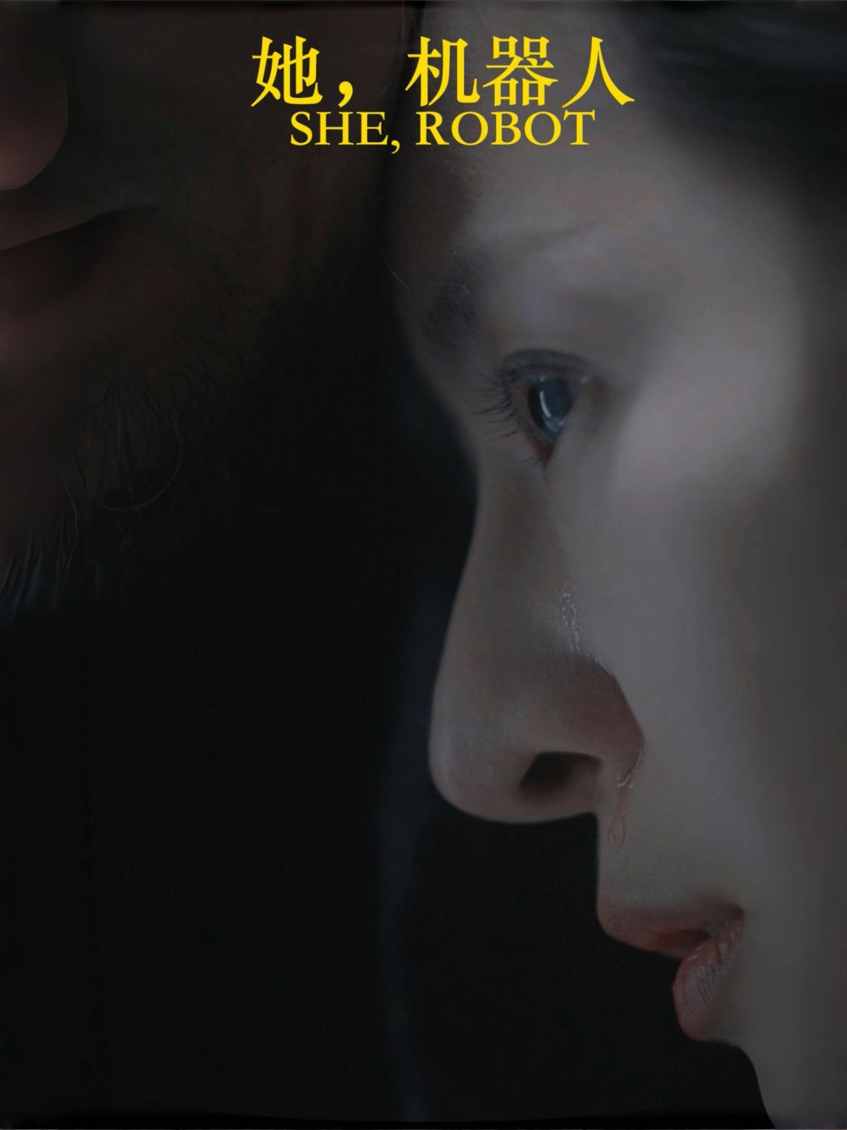 她，机器人（她机器人） 全集完结(大结局)