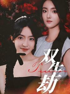 双生劫 第1-20集