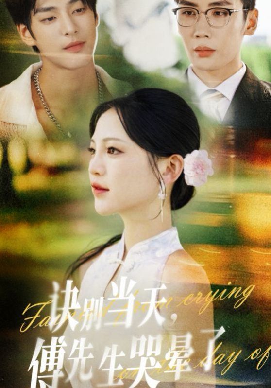 诀别当天傅先生哭晕了 全集完结(大结局)
