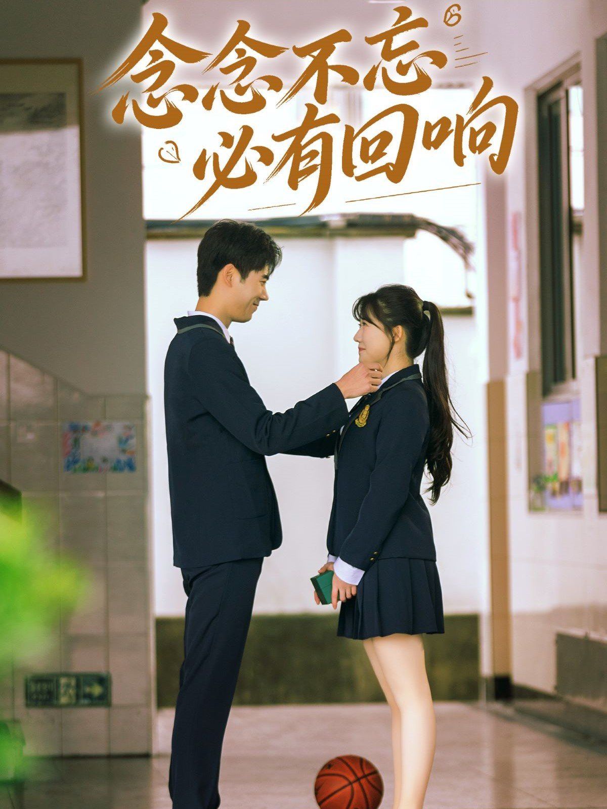 念念不忘，必有回响 全集完结(大结局)