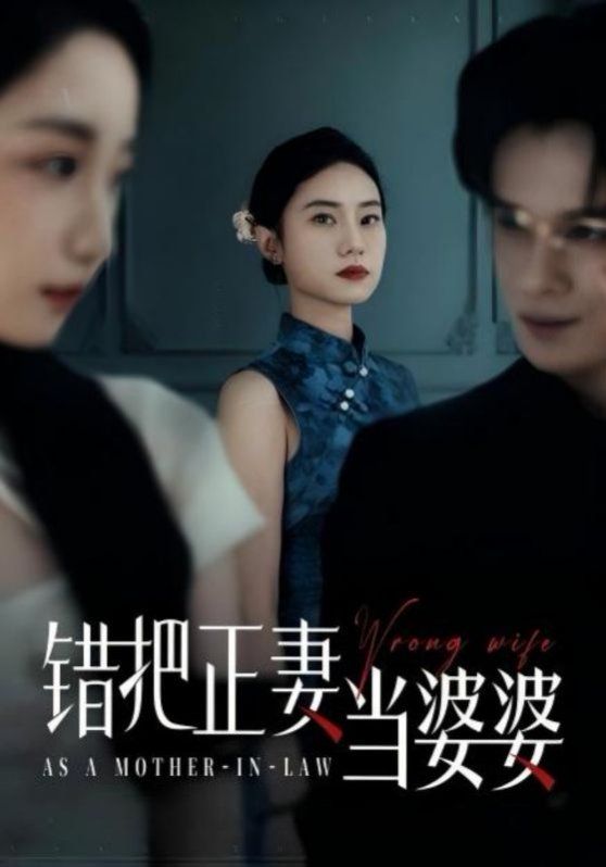 错把正妻当婆婆 全集完结(大结局)