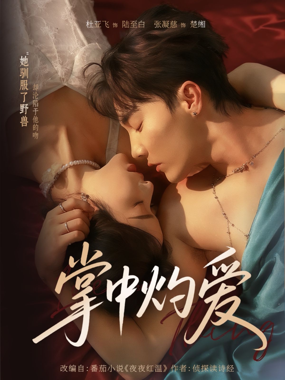 掌中灼爱 全集完结(大结局)