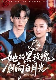 她的黑玫瑰刺向白月光 全集完结(大结局)