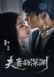 夫妻的深渊 全集完结(大结局)