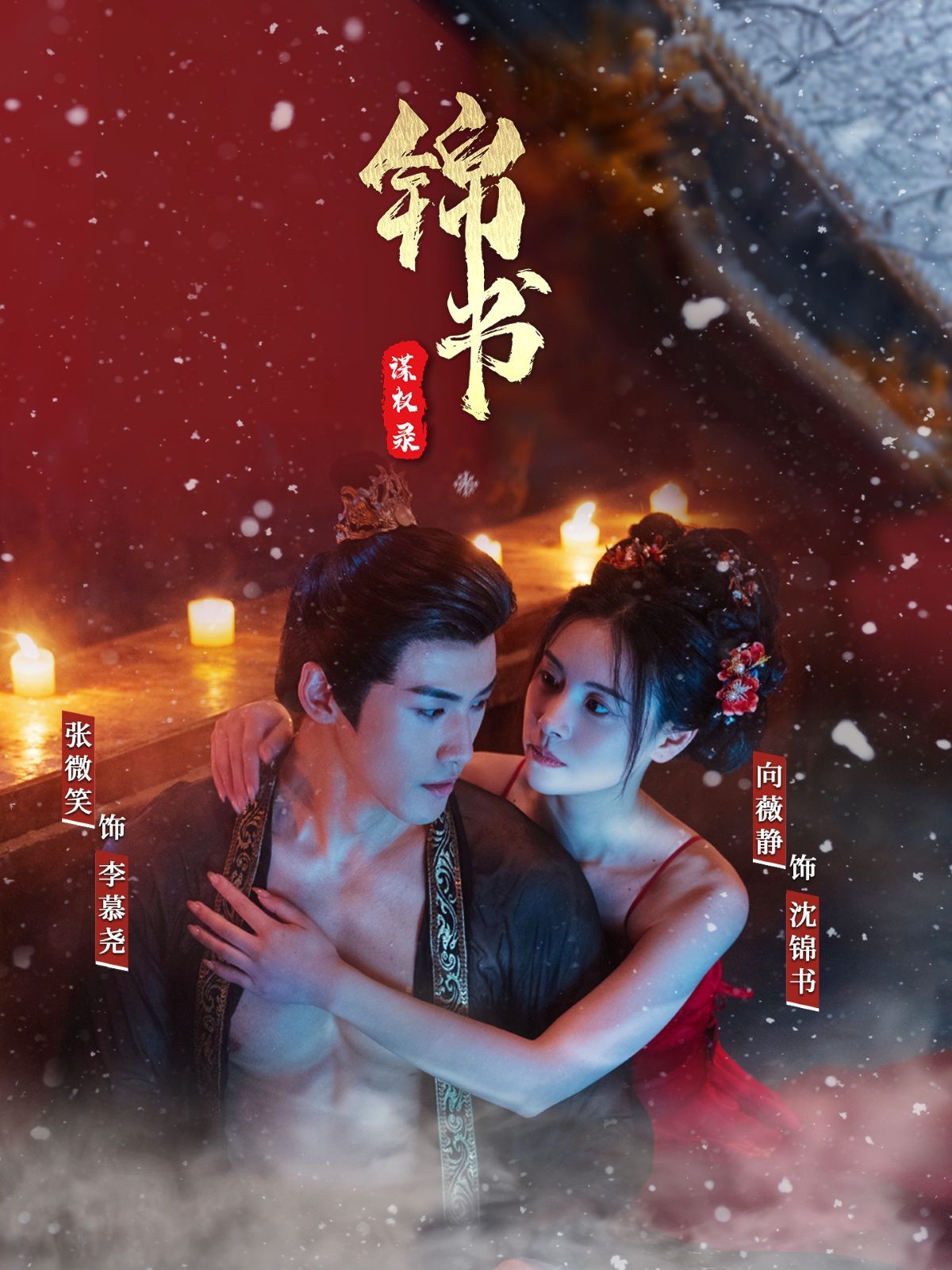 锦书谋权录 第29集