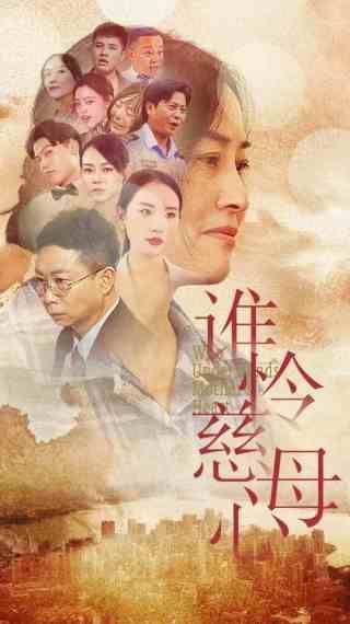 谁怜慈母心 全集完结(大结局)