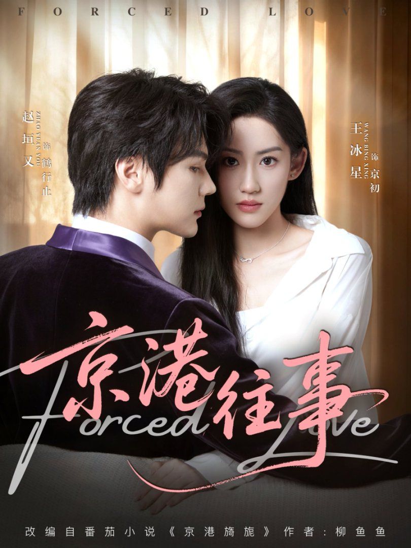 京港往事 全集完结(大结局)