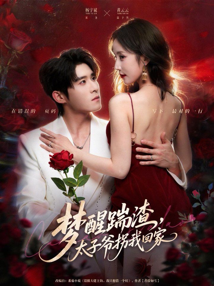 梦醒踹渣，太子爷拐我回家 全集完结(大结局)