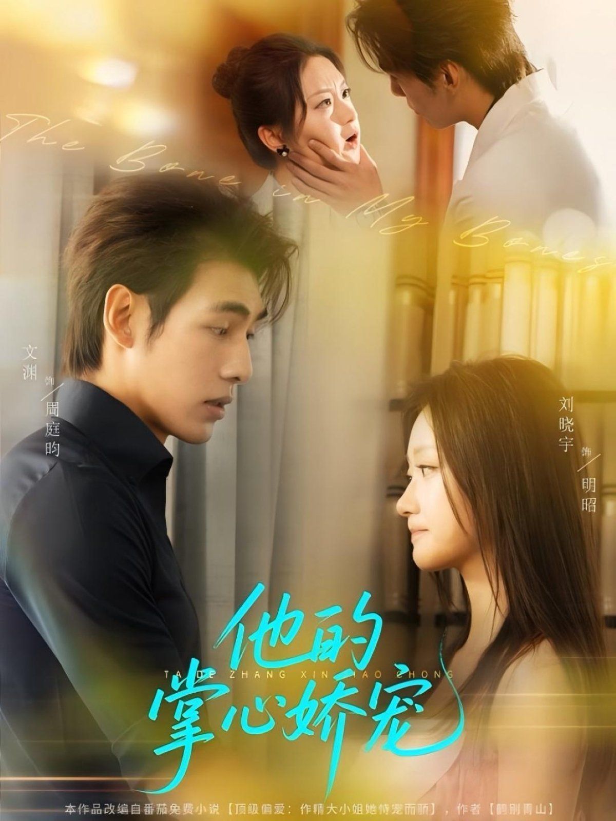 他的掌心娇宠 第01集