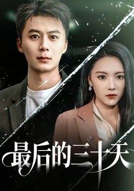 最后的三十天 全集完结(大结局)