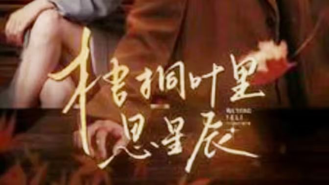 梧桐叶里思星辰 第81-100集(大结局)