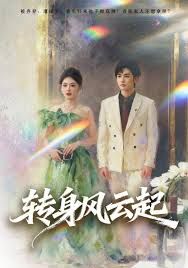 转身风云起 全集完结(大结局)