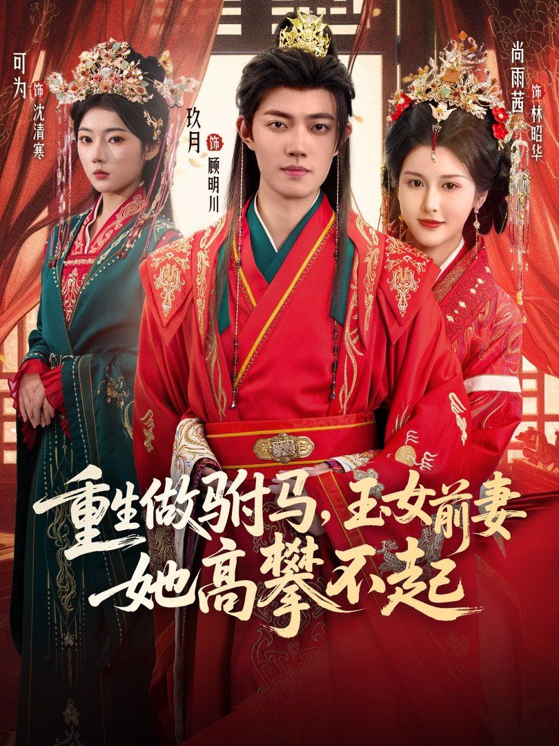 重生做驸马，玉女前妻她高攀不起 全集完结(大结局)