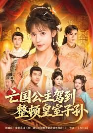 亡国公主驾到，整顿皇室子孙 全集完结(大结局)