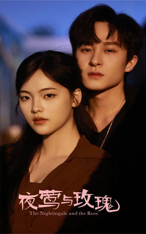 夜莺与玫瑰 全集完结(大结局)