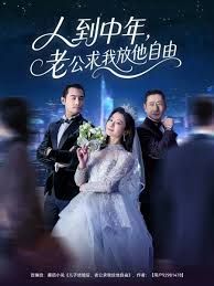 人到中年，老公求我放他自由 全集完结(大结局)