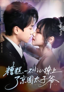 糟糕，一不小心撩上了京圈太子爷 全集完结(大结局)