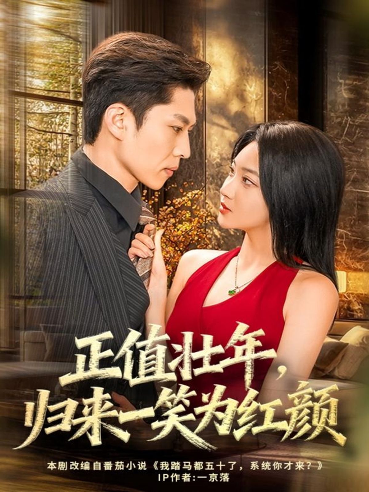 正值壮年，归来一笑为红颜 全集完结(大结局)