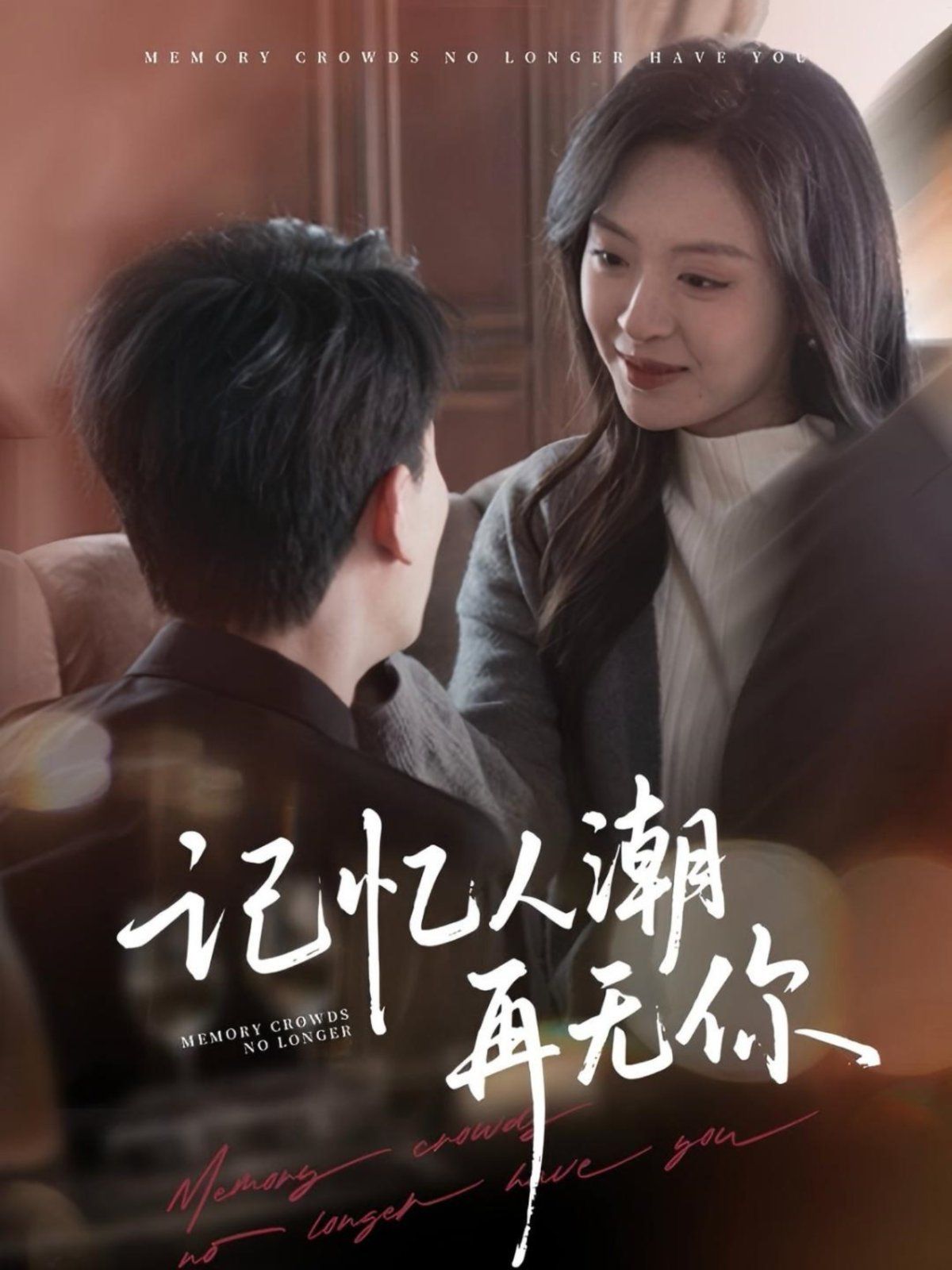 记忆人潮再无你 第1-30集