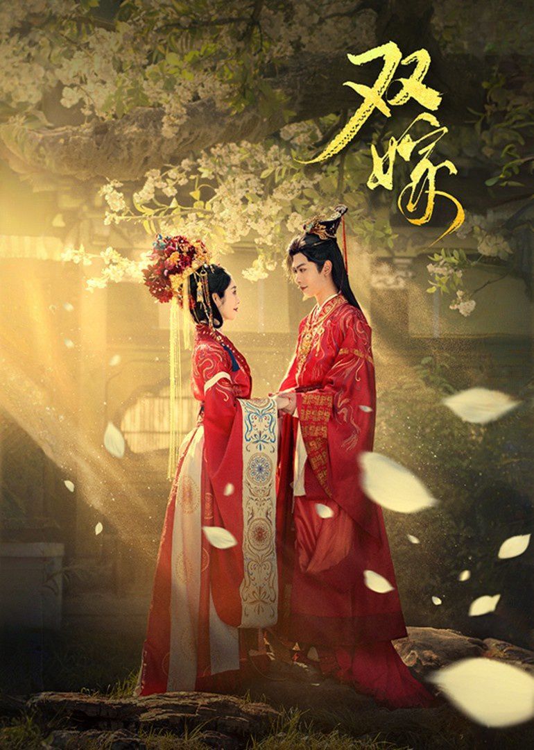 双嫁 全集完结(大结局)