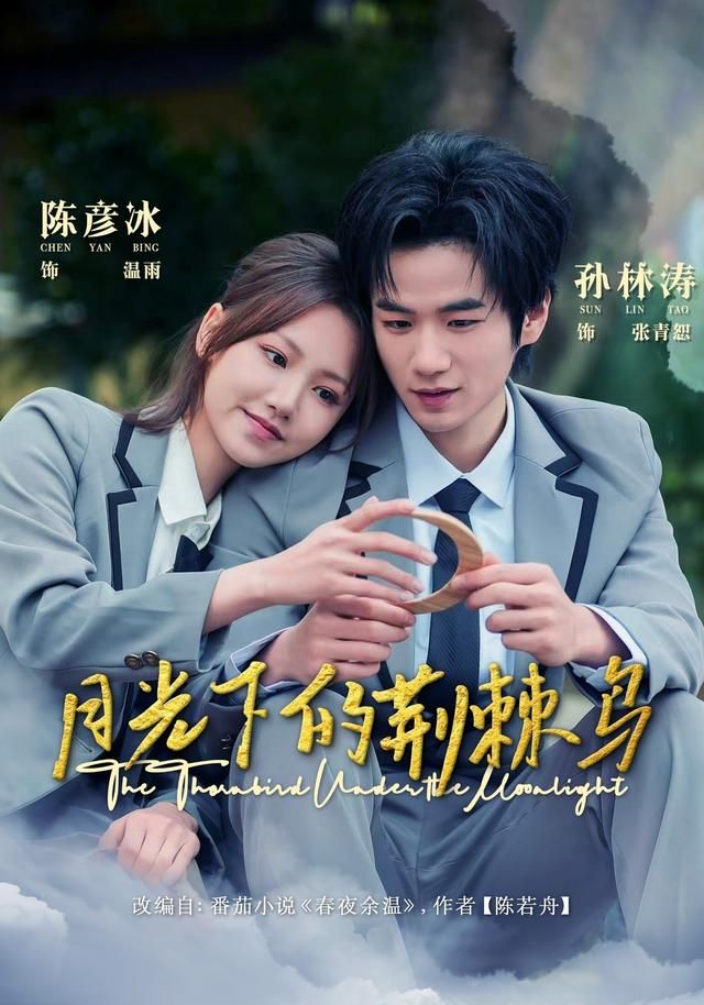 月光下的荆棘鸟 全集完结(大结局)