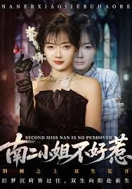 南二小姐不好惹 全集完结(大结局)