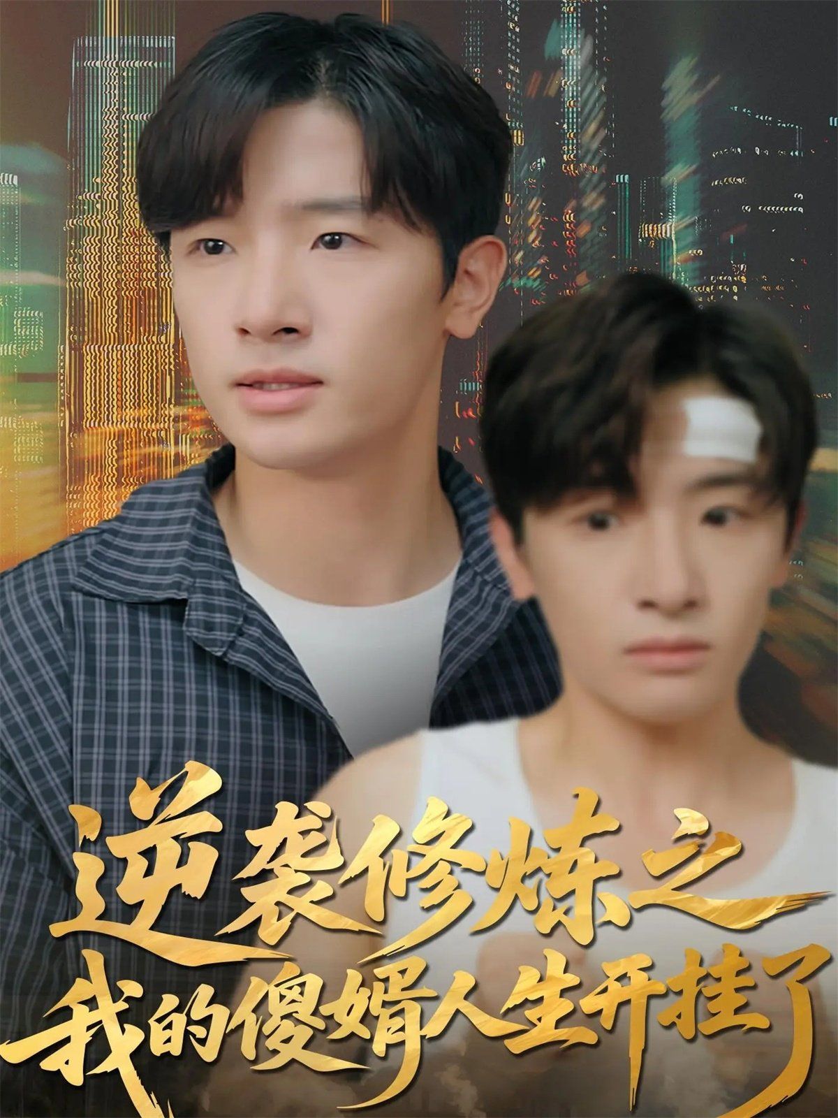 逆袭修炼之我的傻婿人生开挂了 全集完结(大结局)